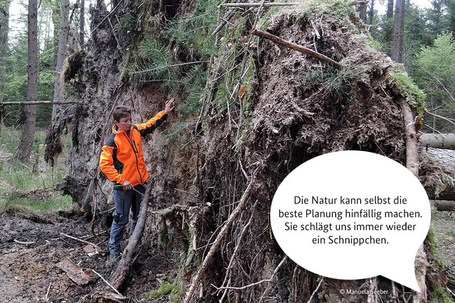 Försterin Manuela Seeber steht neben einem umgekippten Baum im Wald