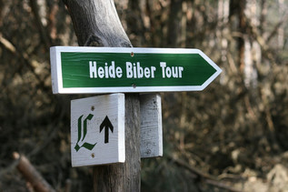 Schild "Heide Biber Tour" im Naturpark Dübener Heide